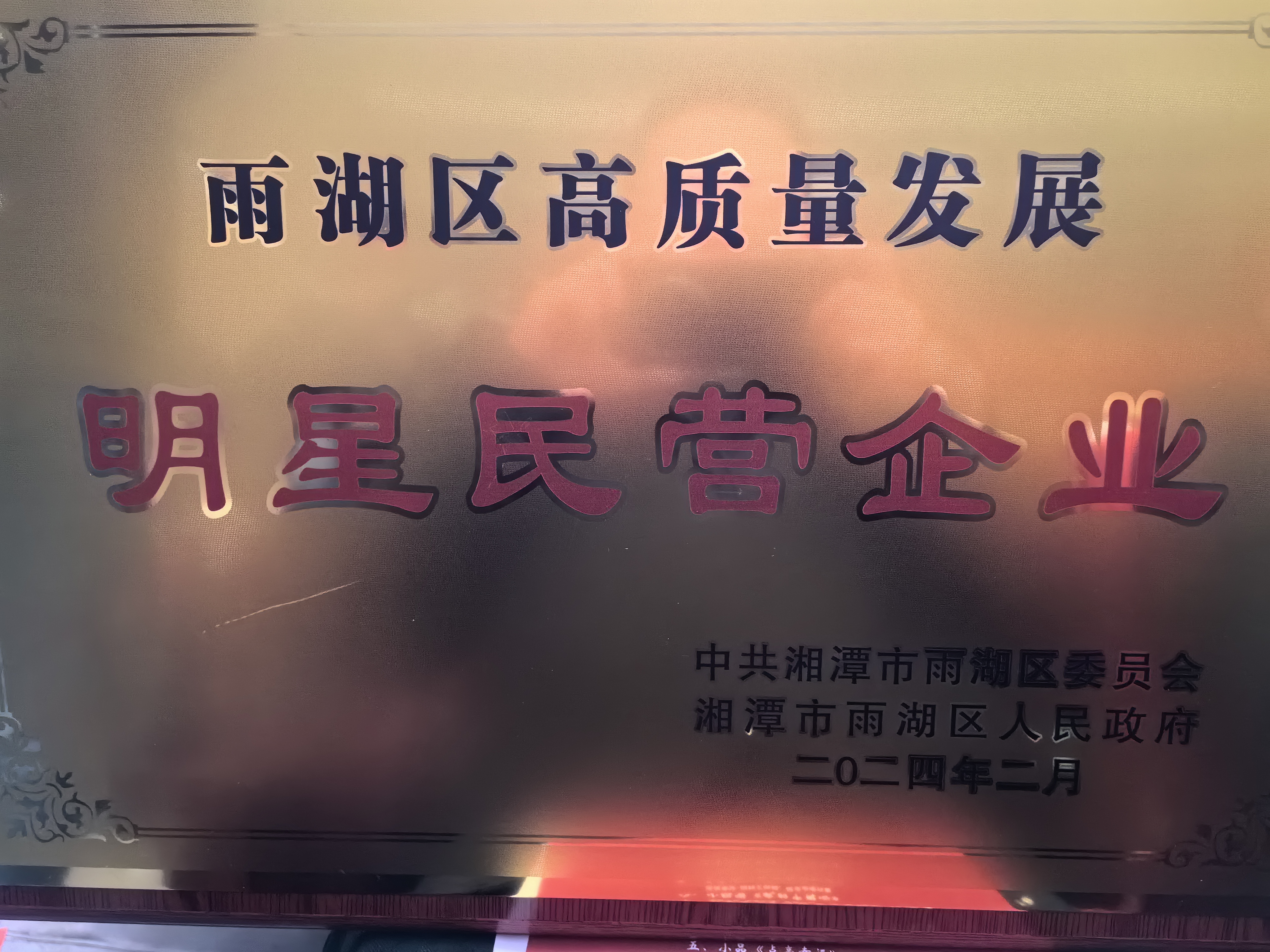 球友会-千亿球友会荣获“雨湖区高质量发展明星民营企业”称号